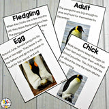 Penguin Activities