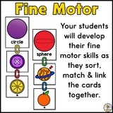 2D & 3D Shape Sorting Activity
