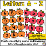 Fall Alphabet Sensory Bins