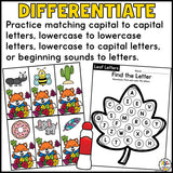 Fall Letter Find Activity