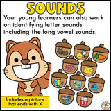 Feed the Squirrel Letter Recognition Activity