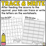 Feed the Squirrel Letter Recognition Activity