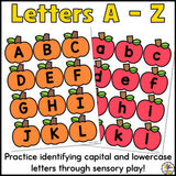 Alphabet Sensory Bins Bundle (Holidays & Seasons)