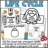 Penguin Activities