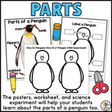 Penguin Activities