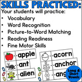 Picture Cards & Vocabulary Words Linking Activity