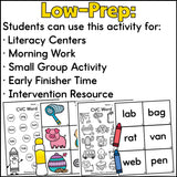 CVC Word Search Activity