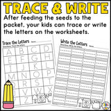 Feed the Seed Packet Letter Recognition Activity